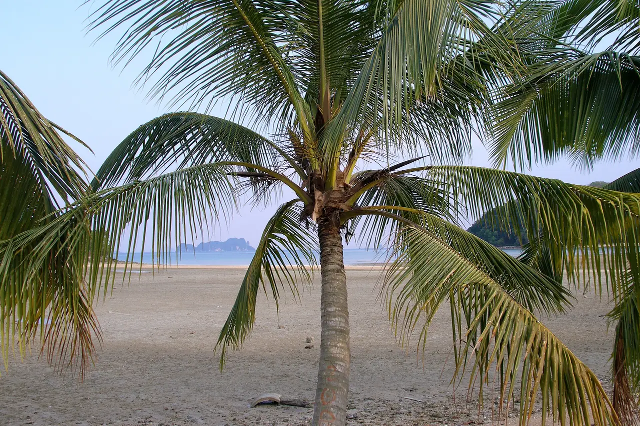Illustrative view of Koh Yao Noi