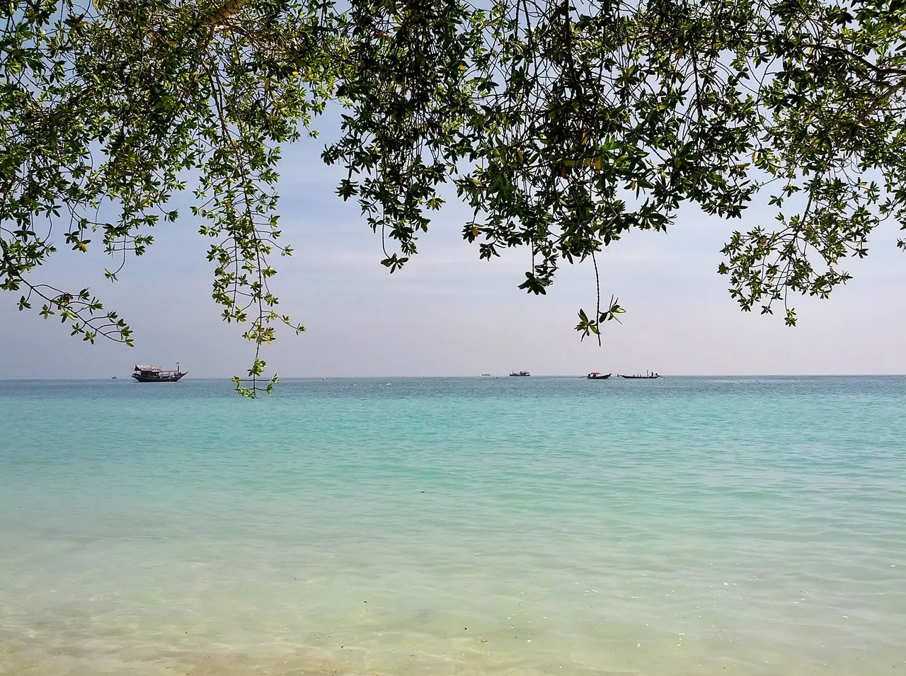 อ่าวฉลาม (Shark Bay) บนเกาะเต่า (ภาพ Justraveling.com, CC BY-SA 4.0)
