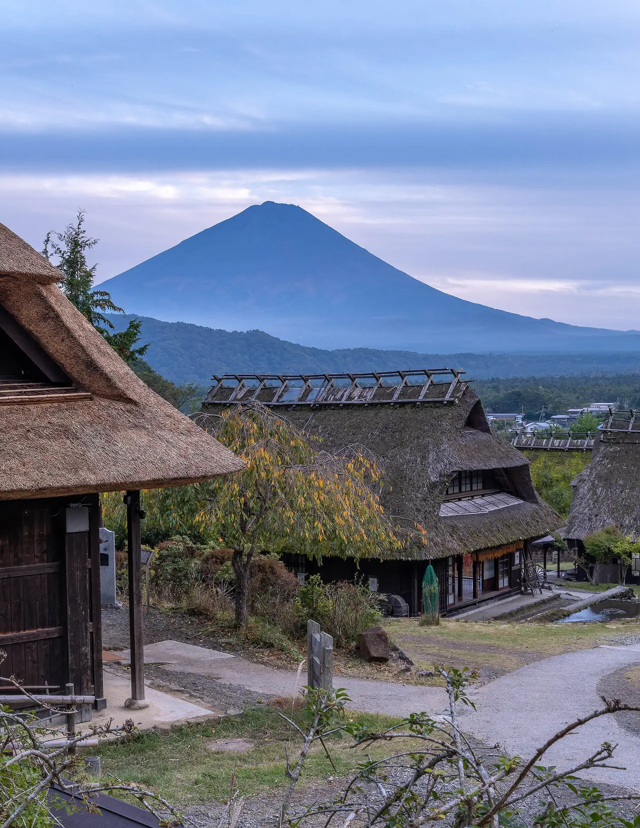 หมู่บ้านหลังคามุงจากและภูเขาไฟฟูจิที่ไซโกะ อิยาชิโนะซาโตะ เนมบะ (ภาพวิวหมู่บ้าน)