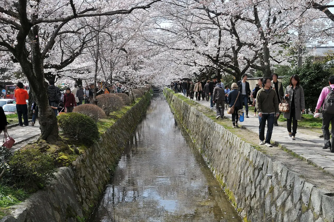 ทางเดินปรัชญา (Tetsugaku no Michi) ริมคลอง ภาพจากผู้ถ่ายบน Wikimedia Commons