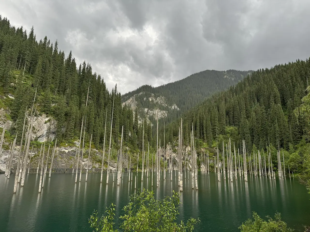 ทะเลสาบไคนดีที่มีลำต้นสนโผล่จากน้ำ ภาพถ่ายจาก Wikimedia Commons