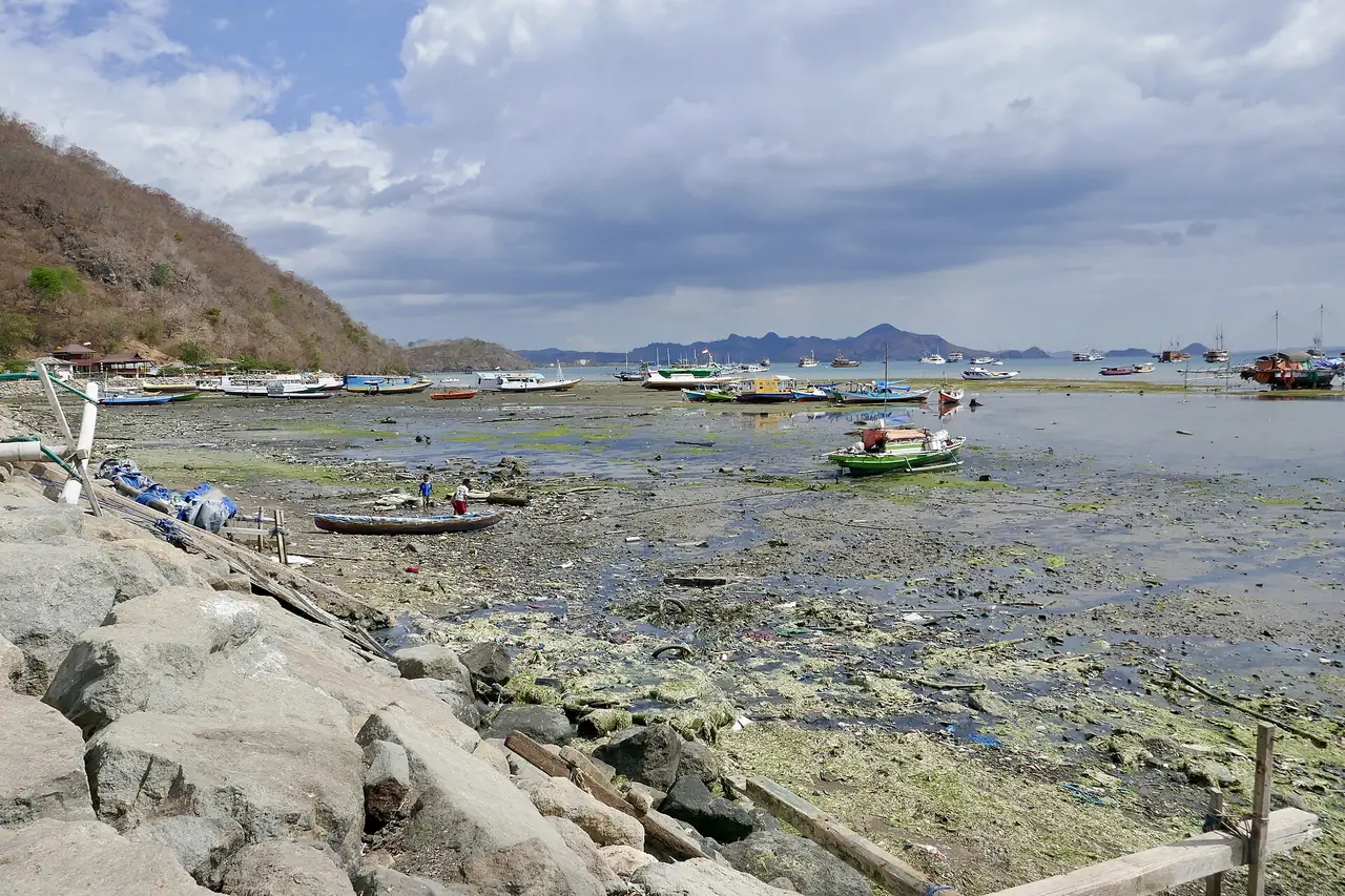 ภาพประกอบ อินโดนีเซีย: ที่พักลาบวนบาโจ พักย่านไหนดี ท่าเรือ เปเด แวจีจู 10 โรงแรม