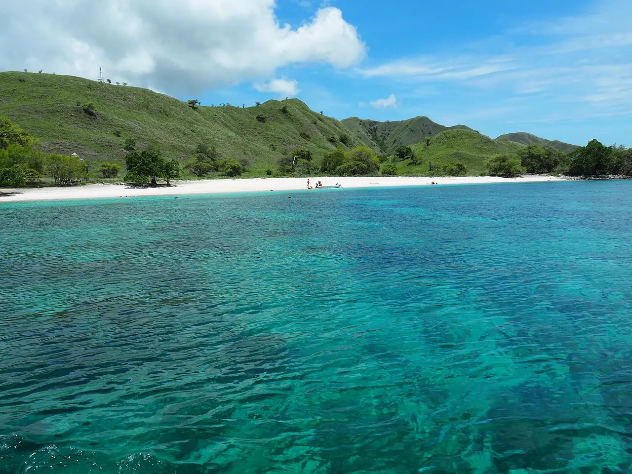 ภาพประกอบ อินโดนีเซีย: หาดสีชมพู มันต้าพอยต์ ทากามากัสซาร์ ดำน้ำตื้น โคโมโด