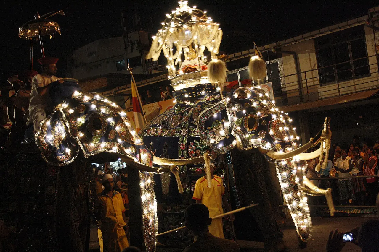 ช้างในขบวนเอซาลาเปราเฮรา แคนดี ภาพถ่ายจาก Wikimedia Commons