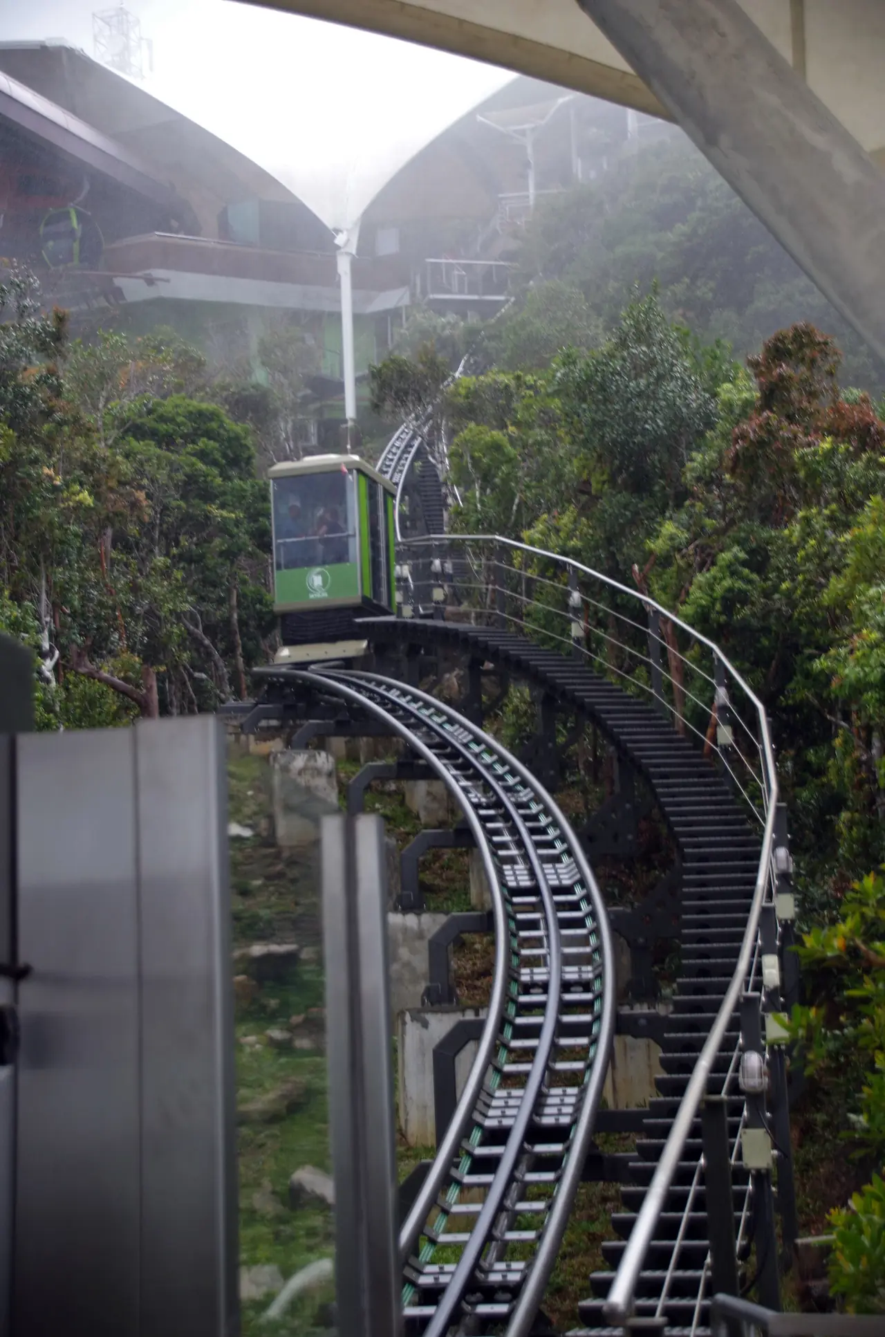 รางลาด SkyGlide ที่ลาดลงตามทางเดินในป่า (ภาพรางและตู้โดยสาร)