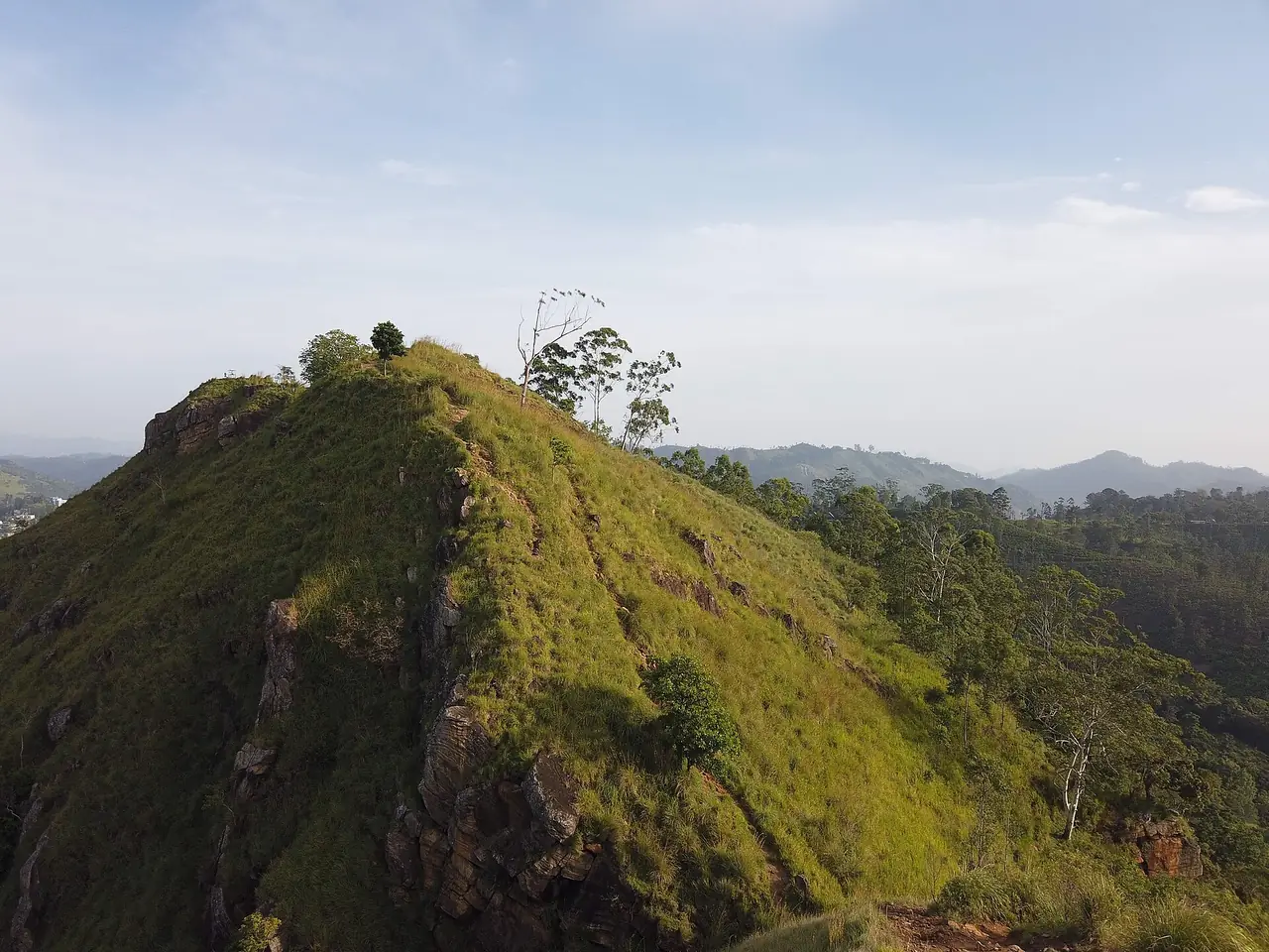 ยอด Little Adam's Peak ในเอลลา ภาพถ่ายระยะไกลเห็นสันเขาหญ้า ภาพจาก Wikimedia Commons ผู้ถ่าย Bcd4e6 สัญญา CC BY-SA 4.0