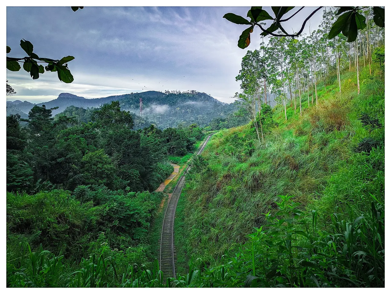รางรถไฟโค้งที่เห็นจากบริเวณสถานีเดโมดารา ใกล้สะพานเก้าโค้ง (ภาพประกอบเส้นทางรถไฟเขตเดโมดารา ชื่อไฟล์ระบุ Demodara railway loop) ภาพจาก Wikimedia Commons ผู้ถ่าย Nisal Senanayaka สัญญา CC BY-SA 4.0