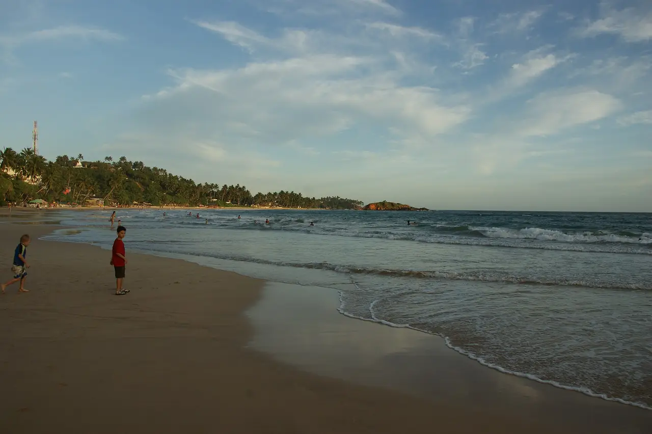 หาดมิริสสาตอนเย็น ภาพจาก Wikimedia Commons ผู้ถ่าย Dan arndt สัญญา CC BY-SA 4.0