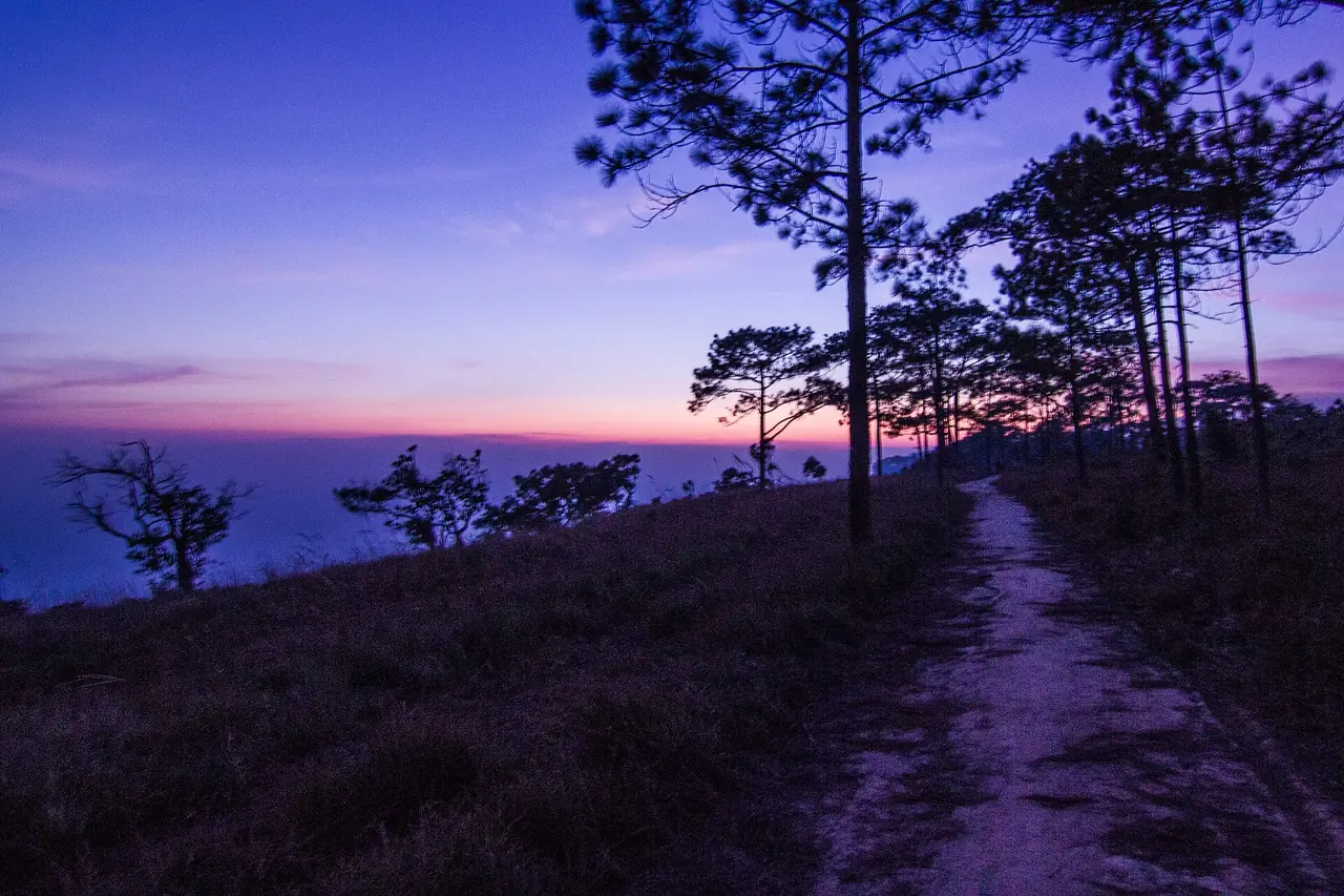 ทางเดินดินตามขอบหน้าผายามพลบค่ำ มีต้นสนและท้องฟ้าสีม่วง ภาพถ่ายจาก Wikimedia Commons