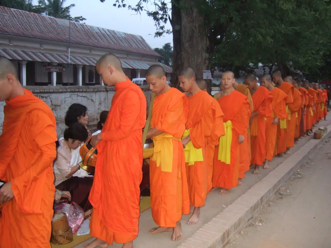 แถวพระภิกษุบนถนนในเมืองเก่าหลวงพระบางตอนเช้า (ภาพแถวพระ)
