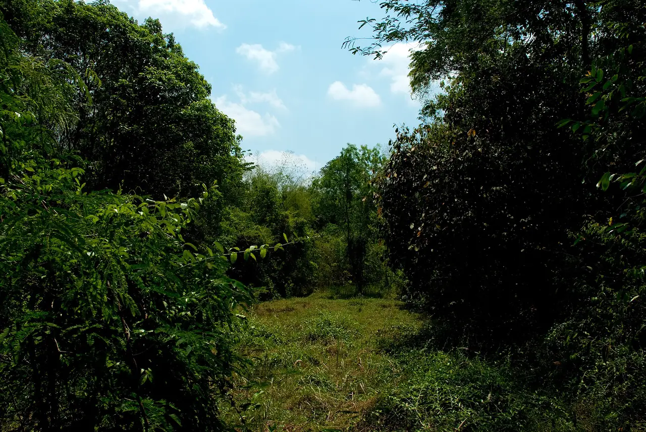 คูเมืองของเมืองโบราณดงละคร ภาพของ Kawpodmd จาก Wikimedia Commons ใบอนุญาต CC BY-SA 3.0