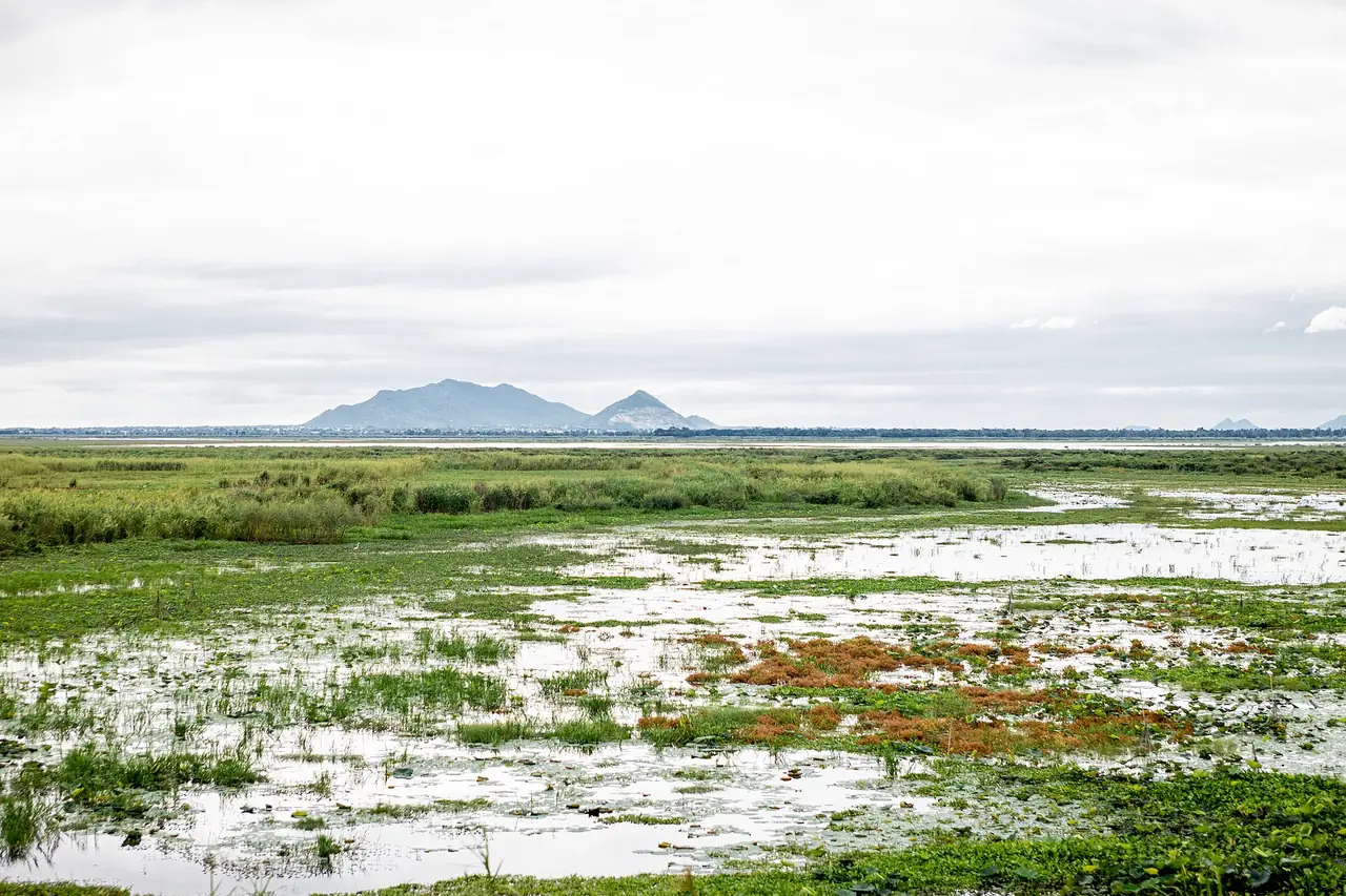 Photo of Nakhon Sawan: Pak Nam Pho, where the Ping and Nan rivers become the Chao Phraya, about 240 km north of Bangkok