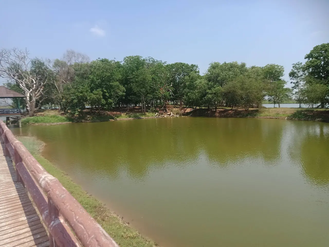 A jetty and wooden walkway at the edge of Bueng Boraphet non-hunting area