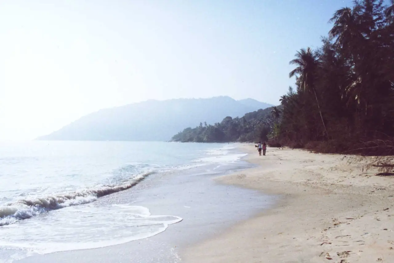 ภาพประกอบ นครศรีธรรมราช: ขนอม โลมาสีชมพู หาดในเพลา อ่าวท้องหยี เรือ ราคา ไปยังไง