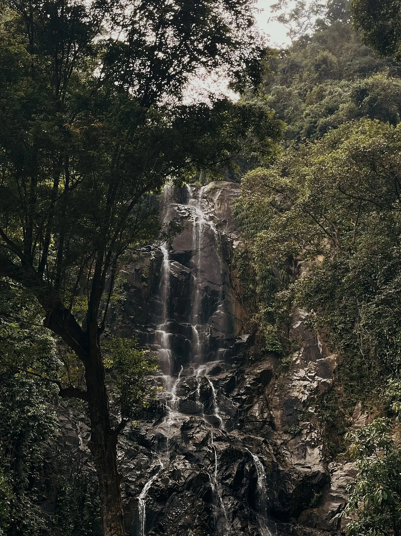 น้ำตกสูงไหลลงมาตามผาหินในป่าที่เขานัน ภาพของ Anustria จาก Wikimedia Commons ตามชื่อไฟล์เป็นน้ำตกในเขานัน ไม่ระบุชื่อน้ำตก