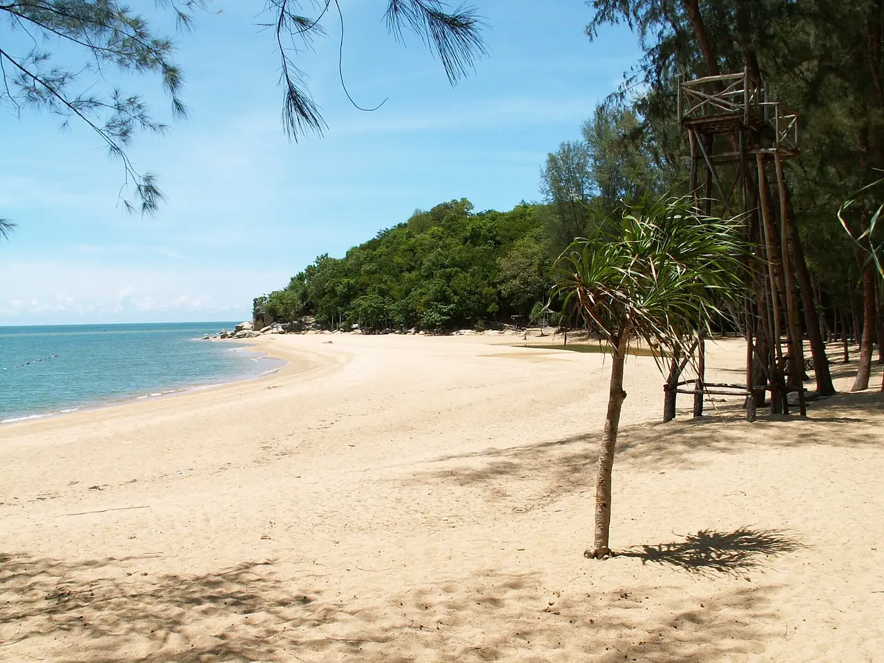 หาดอ่าวมะนาวมีต้นสนและโขดหินปลายหาด ตามคำบรรยายของวิกิท่องเที่ยว