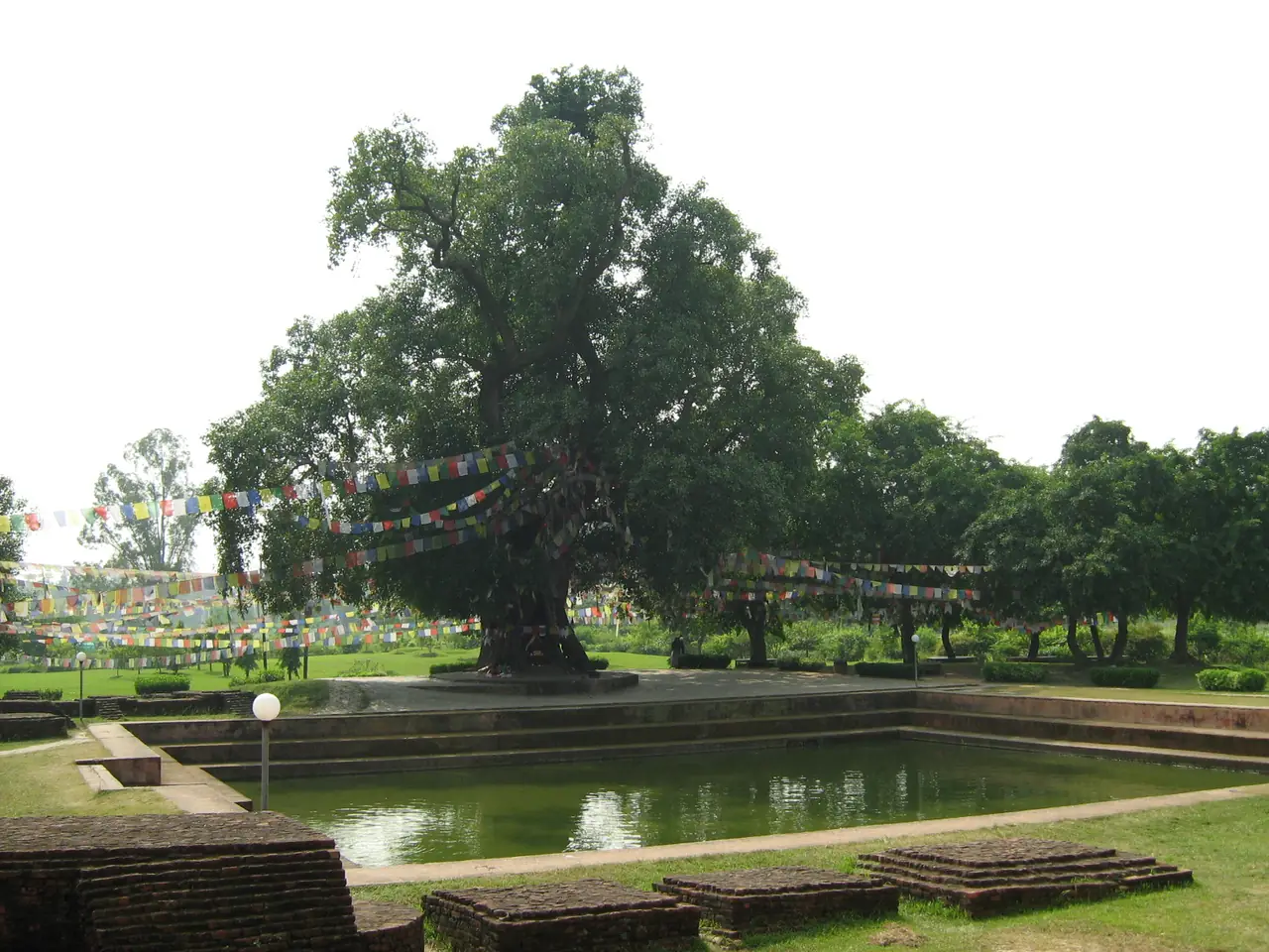 สระศักดิ์สิทธิ์และต้นไม้ใหญ่ใกล้วิหารมายาเทวี ภาพถ่ายจาก Wikimedia Commons