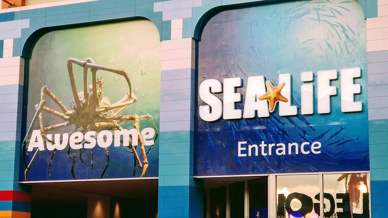 ทางเข้า SEA LIFE Nagoya ที่ใช้ธีมตัวต่อเลโก้ ภาพจากผู้ถ่ายบน Wikimedia Commons