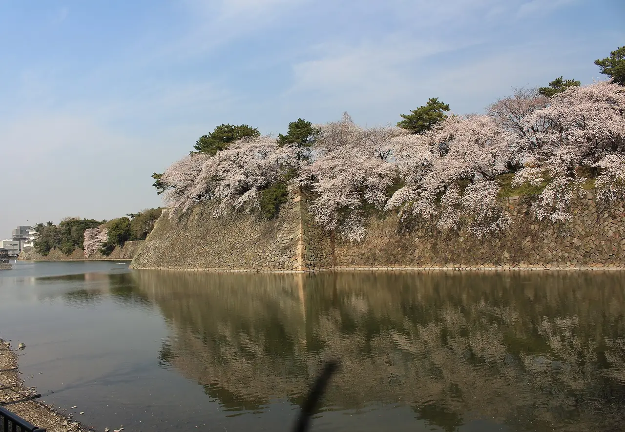 คูเมืองและต้นซากุระริมกำแพงปราสาทนาโกย่า ภาพจากผู้ถ่ายบน Wikimedia Commons