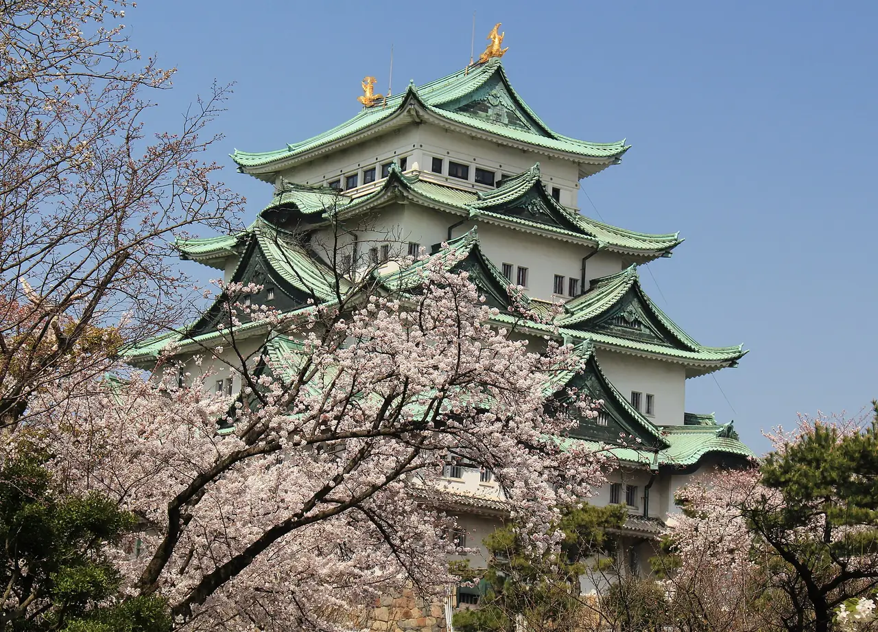 หอคอยปราสาทนาโกย่ากับต้นซากุระ ภาพจากผู้ถ่ายบน Wikimedia Commons