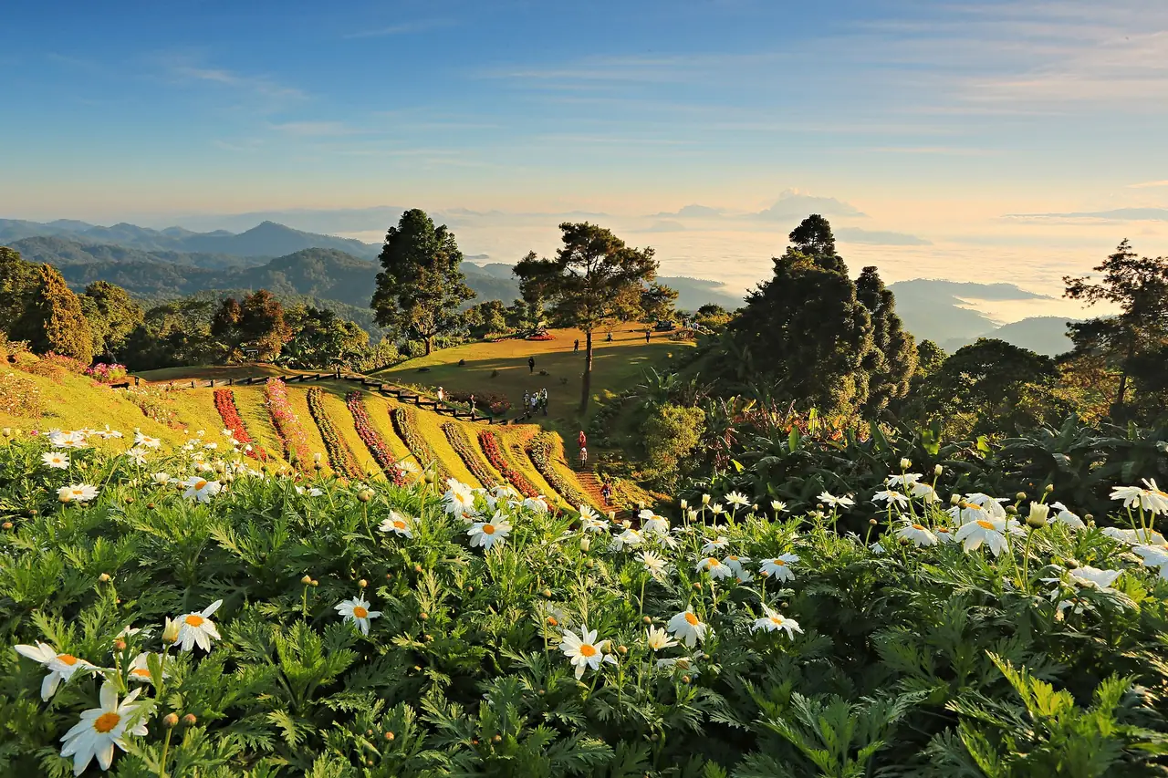 ป่าและเนินดอกไม้ในพื้นที่อุทยานแห่งชาติห้วยน้ำดัง ภาพจาก Wikimedia Commons ผู้ถ่าย Kosin Sukhum คำบรรยายไฟล์ระบุอุทยานห้วยน้ำดัง แต่ไม่ใช่โป่งน้ำร้อนท่าปายและไม่ระบุจุดถ่ายที่แน่ชัด