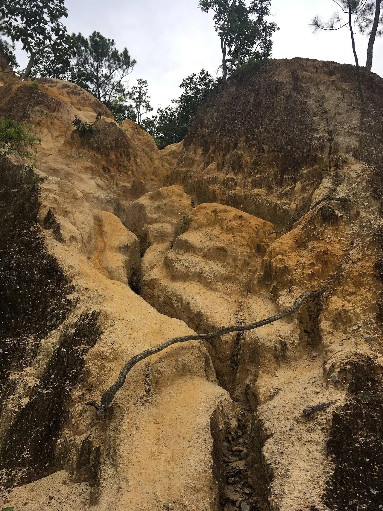 หน้าผาหินถูกกัดเซาะ ปายแคนยอน