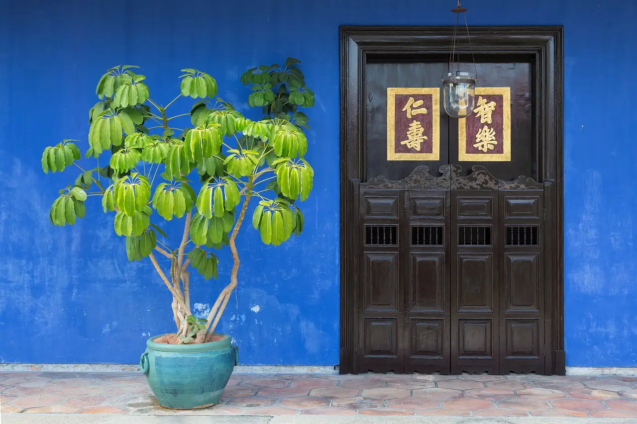 ประตูและผนังสีน้ำเงินของคฤหาสน์ Cheong Fatt Tze หรือ Blue Mansion (ภาพประตูหน้า)
