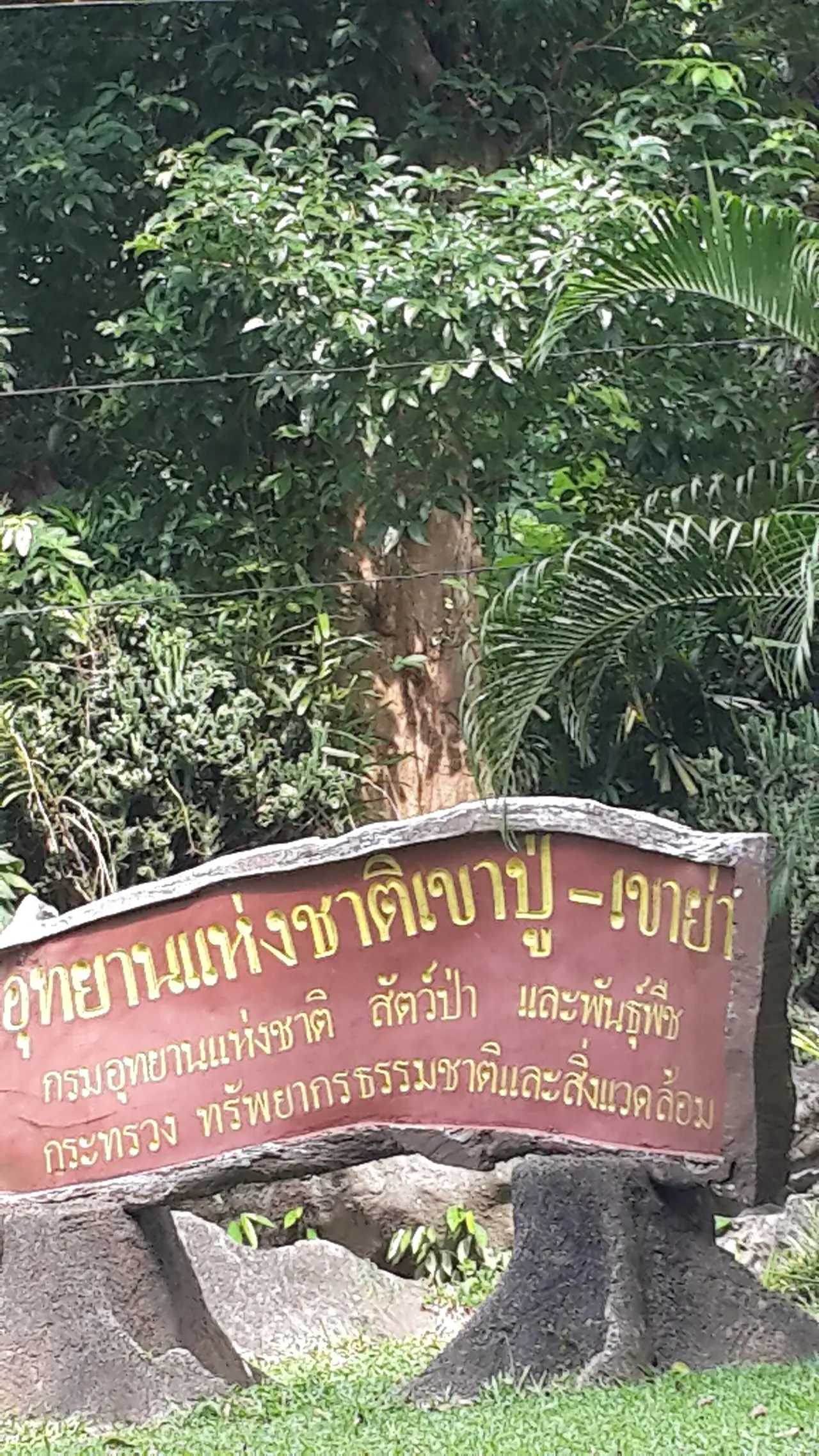ภาพสัญลักษณ์อุทยานแห่งชาติเขาปู่-เขาย่า ภาพของ Jidapa Promdech จาก Wikimedia Commons ใบอนุญาต CC BY-SA 4.0 ถ่ายแนวตั้ง