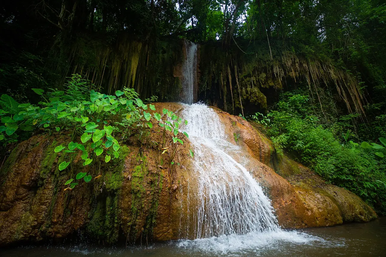 น้ำตกเล็กในป่าทึบที่อุทยานแห่งชาติภูซาง