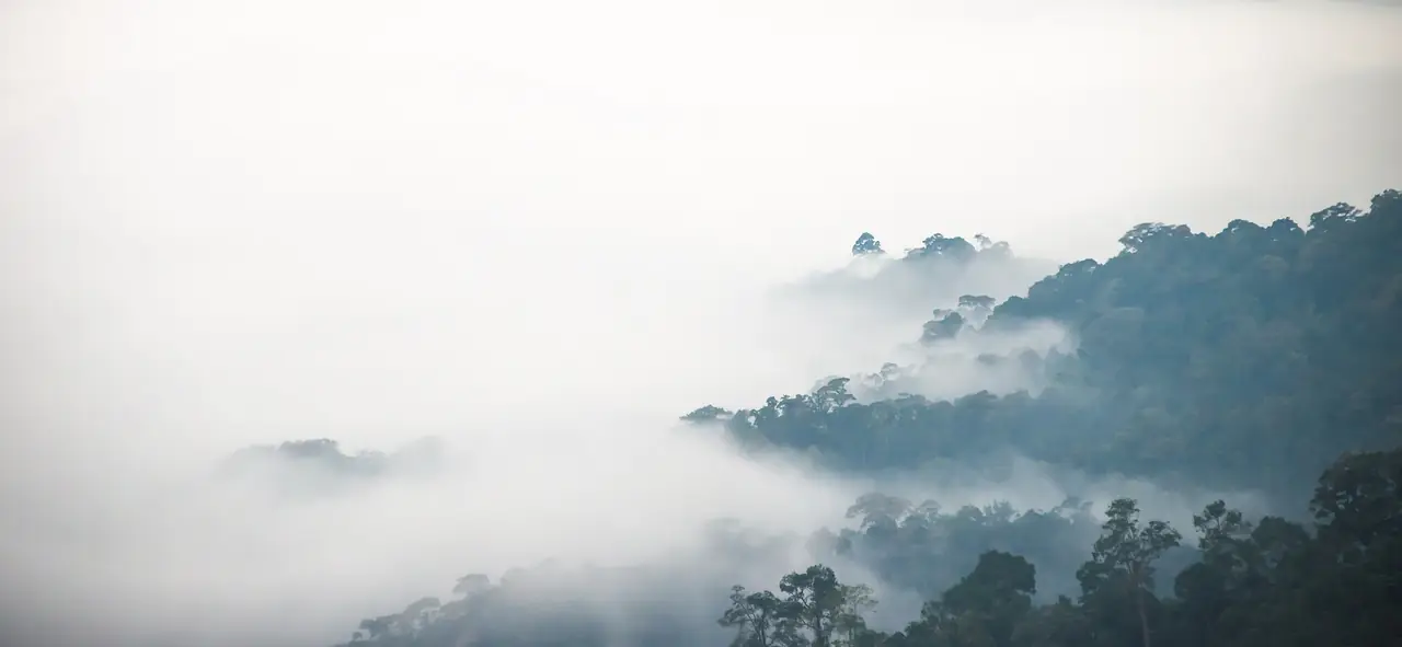 ทะเลหมอกที่เขาพะเนินทุ่ง อุทยานแห่งชาติแก่งกระจาน ภาพถ่ายจาก Wikimedia Commons (Rushen, CC BY-SA 2.0) ภาพจากเมื่อหลายปีก่อน ไม่ใช่รับประกันว่าจะเห็นเสมอ