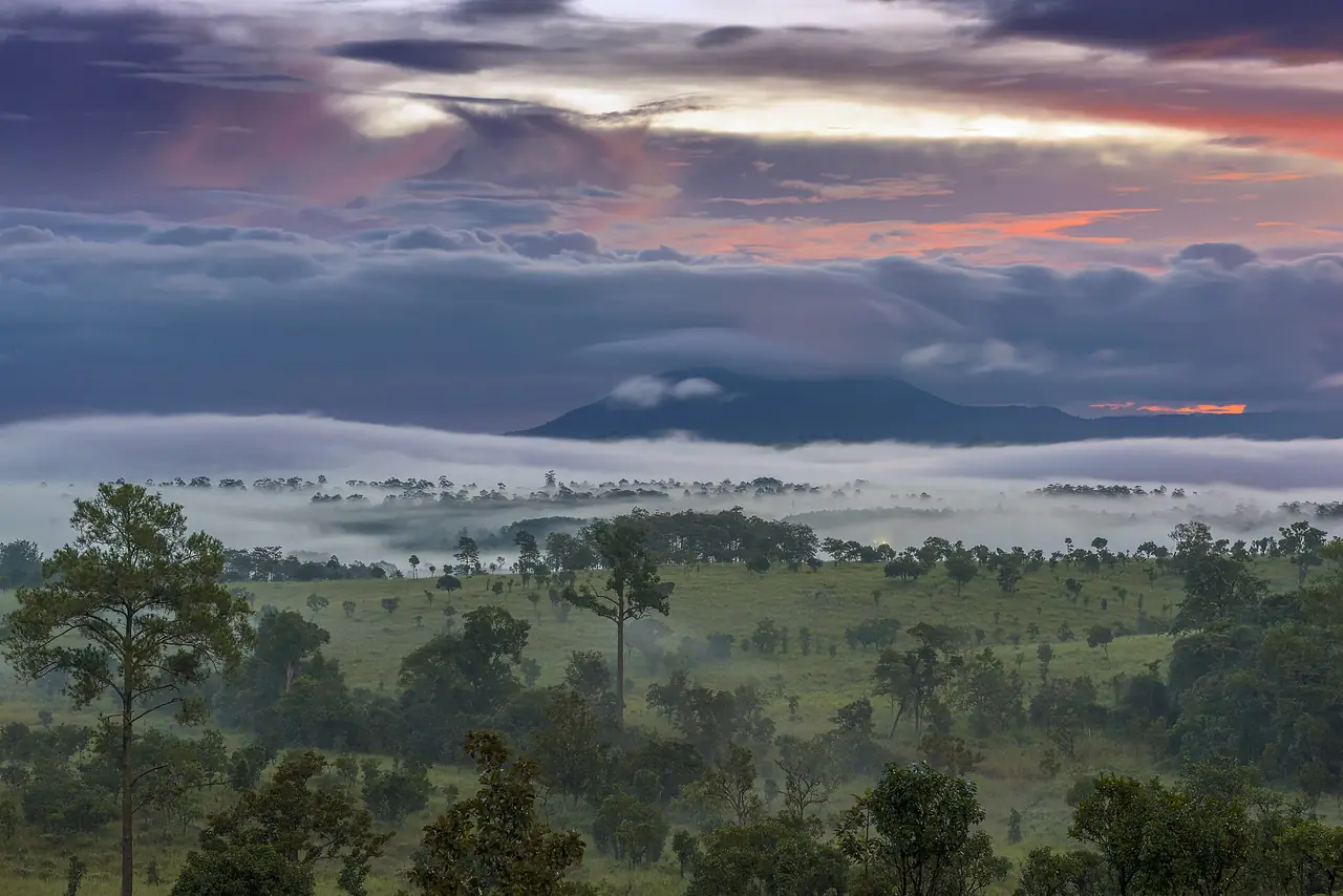 ทะเลหมอกยามเช้าเหนือทุ่งหญ้าและเนินเขาในอุทยานแห่งชาติทุ่งแสลงหลวง
