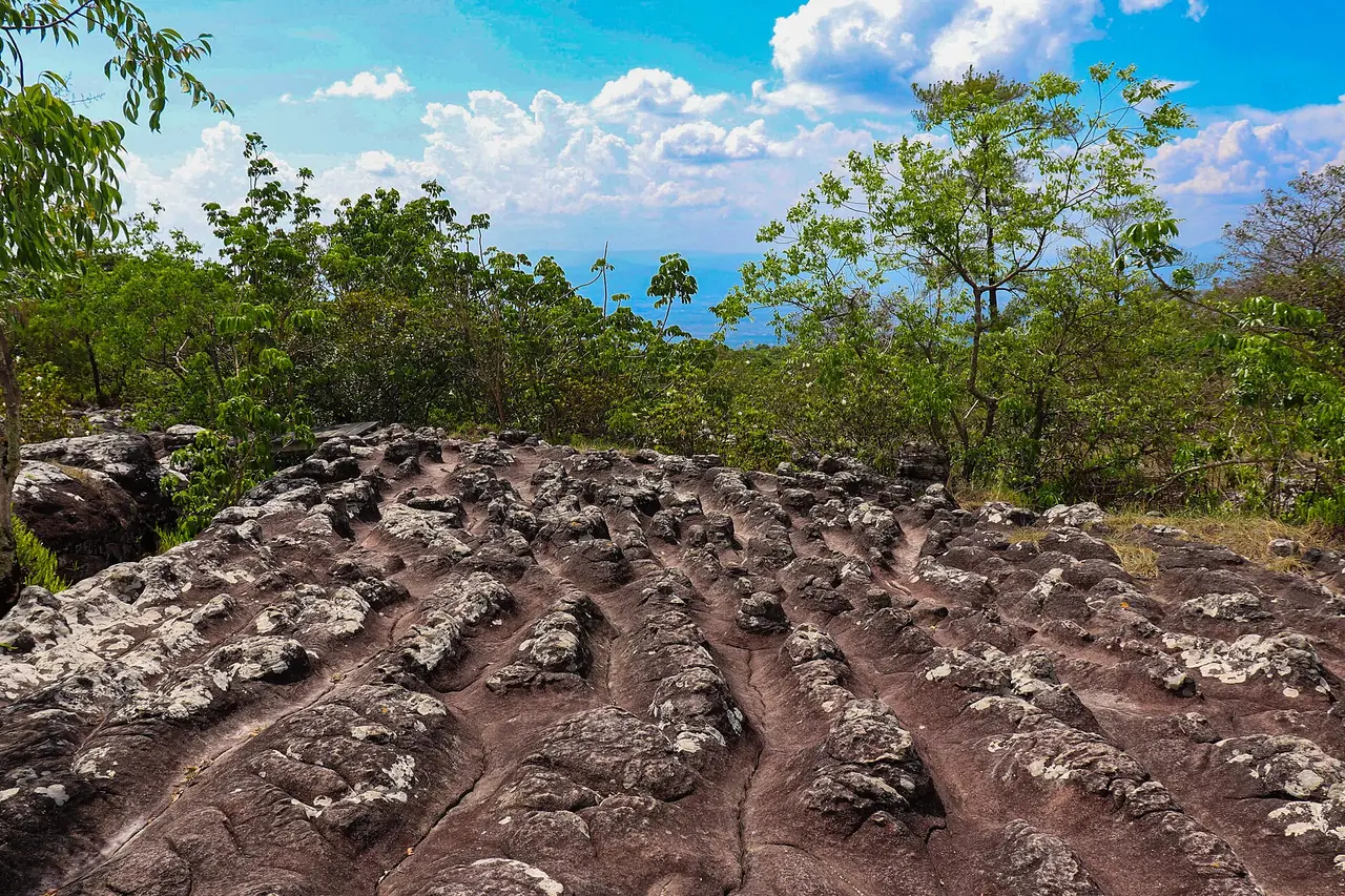 ลานหินแตก แผ่นหินแตกร้าวในอุทยานแห่งชาติภูหินร่องกล้า