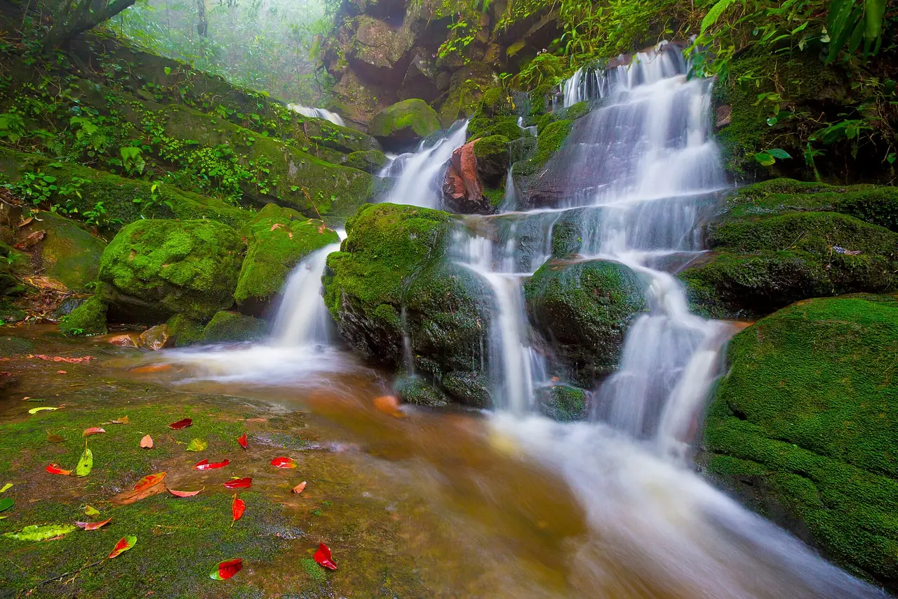 ลำธารและน้ำตกขั้นบันไดที่มีตะไคร่น้ำเขียว ภาพของ Manoonp จาก Wikimedia Commons ชื่อไฟล์ระบุภูสอยดาว ไม่ได้ระบุว่าเป็นน้ำตกไหน
