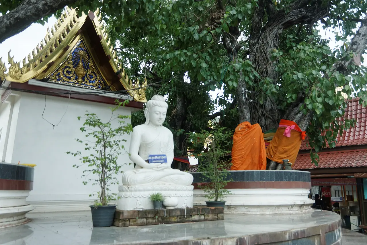 พระพุทธรูปสีขาวใต้ต้นโพธิ์ในบริเวณวัดใหญ่ ภาพของ Ahoerstemeier จาก Wikimedia Commons ไม่ได้ระบุว่าเป็นองค์ไหน