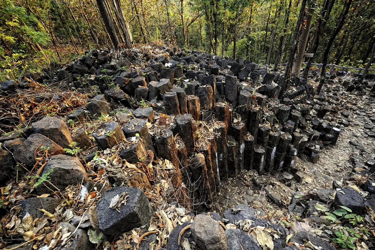 หินบะซอลต์เป็นเสาเหลี่ยมในป่าที่อุทยานแห่งชาติเวียงโกศัย