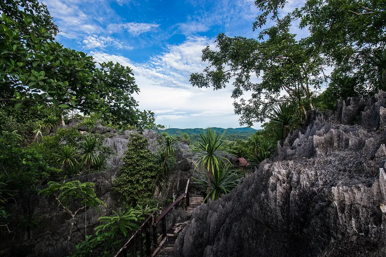 หินปูนทรงปะการังบนเขาที่อุทยานแห่งชาติดอยผากลอง ภาพของทรงกุล ศิริวรกุล จาก Wikimedia Commons ใบอนุญาต CC BY-SA 4.0