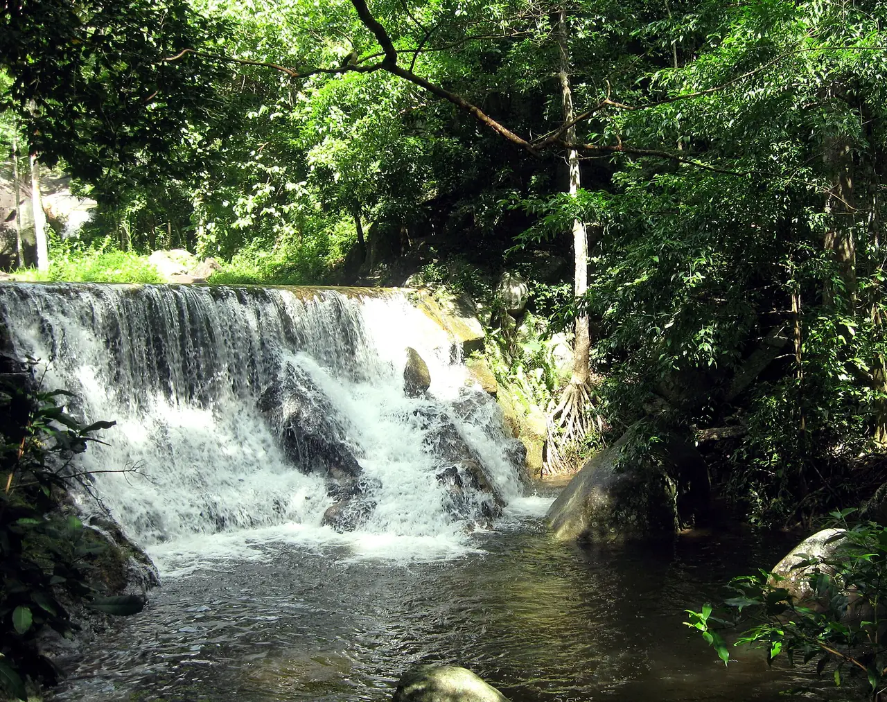 น้ำตกชั้นล่างในอุทยานแห่งชาติน้ำตกห้วยยาง ภาพของ ::::=UT=:::: จาก Wikimedia Commons ใบอนุญาต CC BY-SA 3.0 ภาพประกอบ ไม่ได้บอกว่าเป็นชั้นไหน