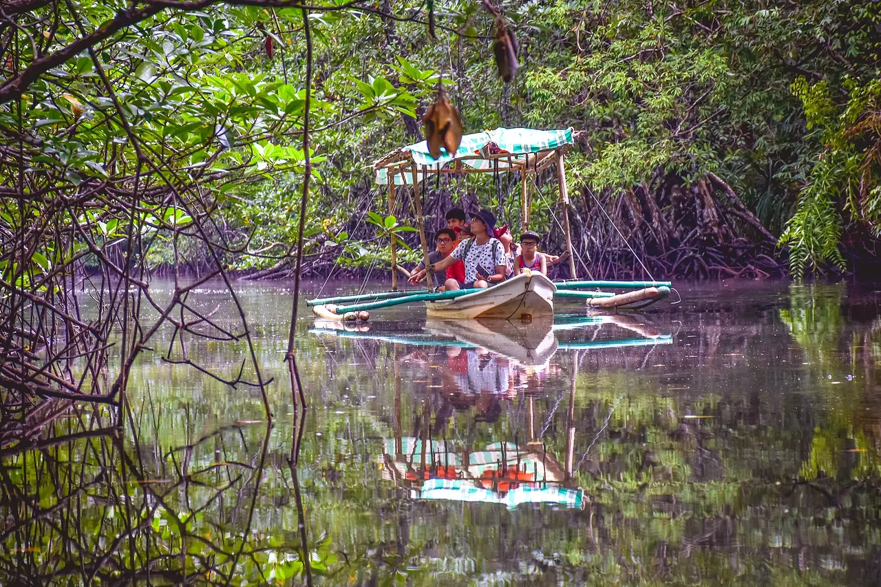 เรือพายชมป่าชายเลนซาบัง (ภาพบรรยากาศ)