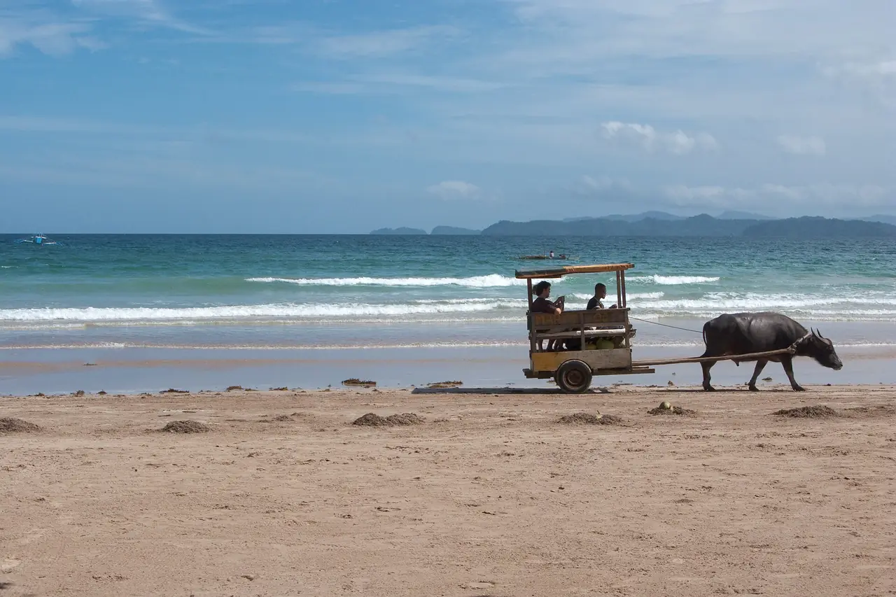 หาดซาบัง ย่านที่ Sheridan Beach Resort ตั้งอยู่ (ภาพบรรยากาศ)