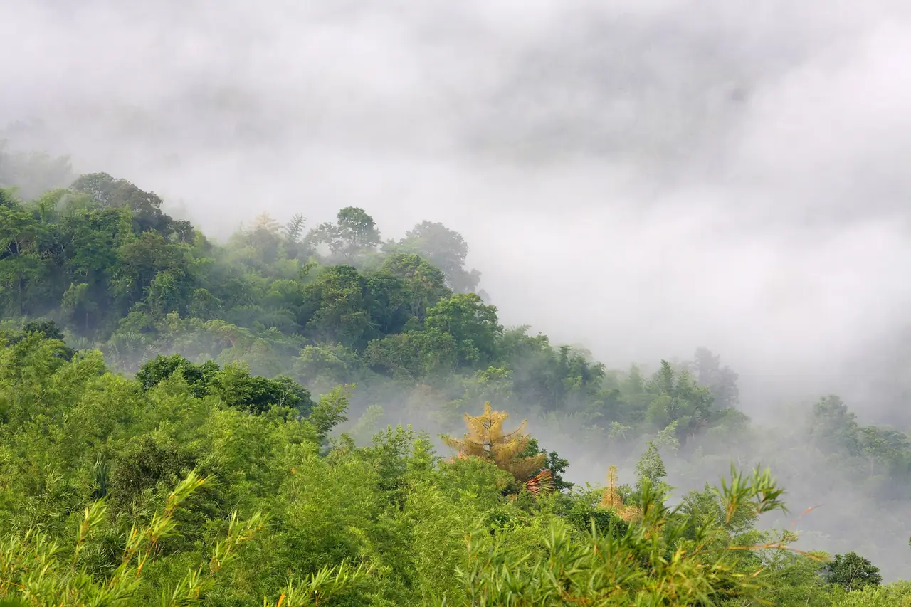 อุทยานแห่งชาติทับลาน ภาพของ Yakuzakorat จาก Wikimedia Commons ใบอนุญาต CC BY-SA 3.0 ไฟล์ระบุเพียงชื่ออุทยาน ไม่ได้ระบุจุดถ่าย