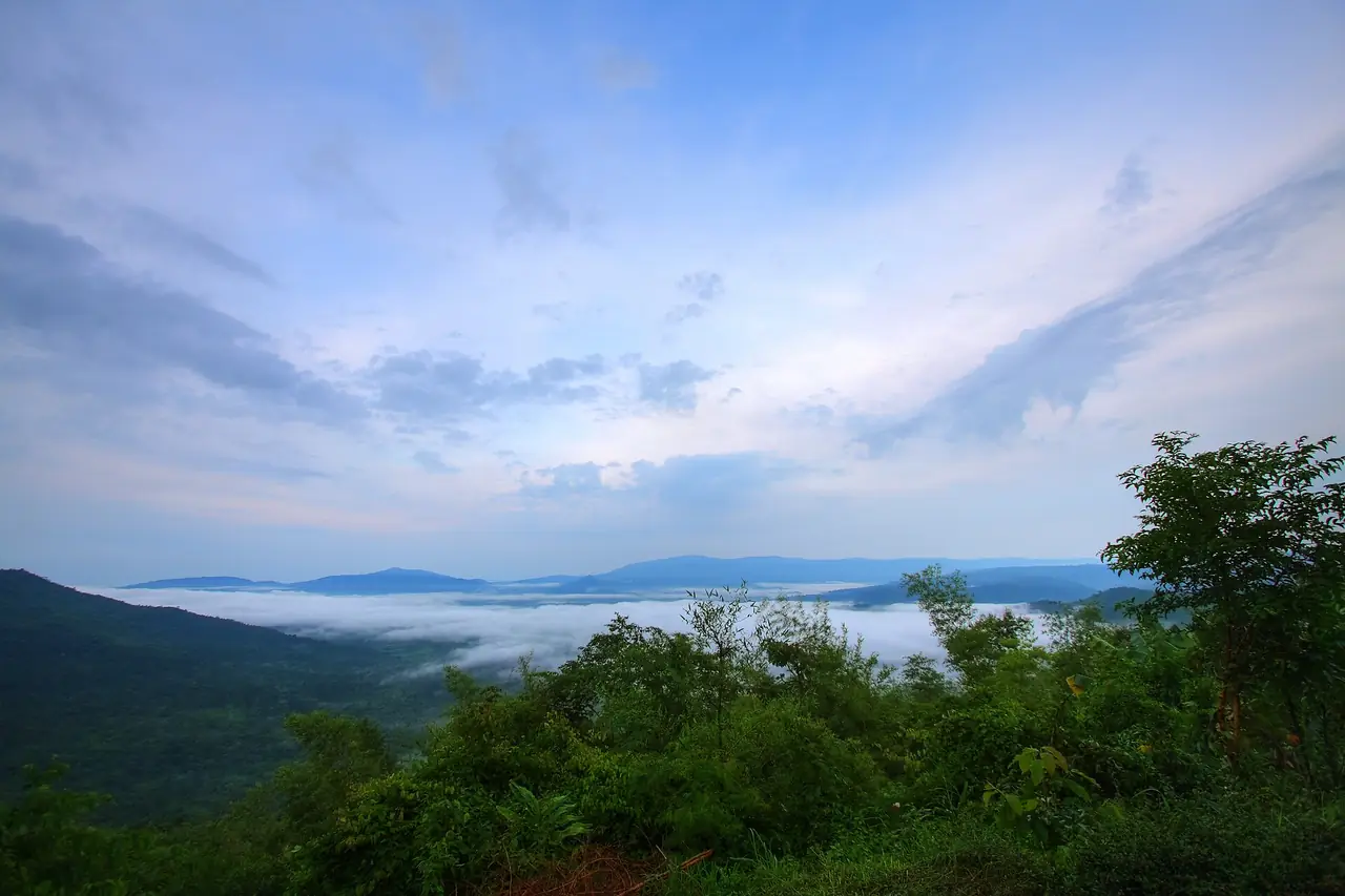 อุทยานแห่งชาติทับลาน ภาพของ Yakuzakorat จาก Wikimedia Commons ใบอนุญาต CC BY-SA 3.0