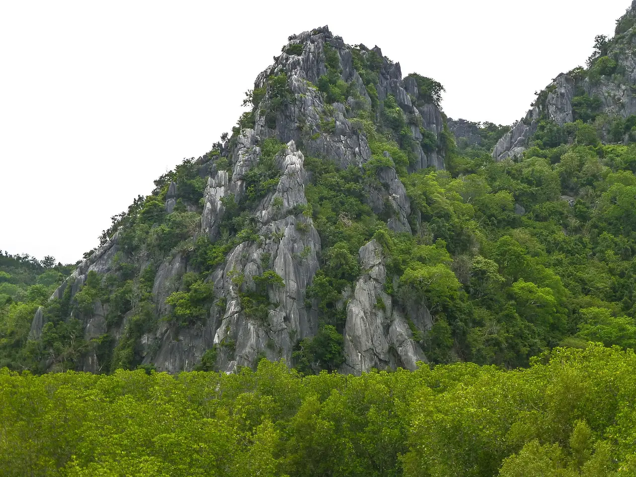 เขาหินปูนเหนือป่าชายเลน ในอุทยานแห่งชาติเขาสามร้อยยอด