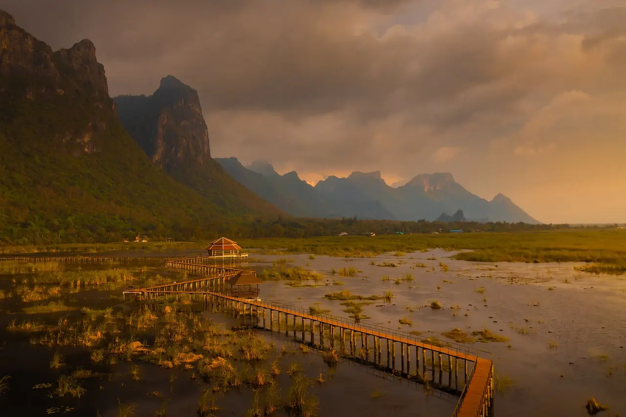 สะพานไม้ที่บึงบัวตอนเย็น ในศูนย์ศึกษาธรรมชาติบึงบัว อุทยานแห่งชาติเขาสามร้อยยอด ภาพของ Rungsilp Sasitorn จาก Wikimedia Commons
