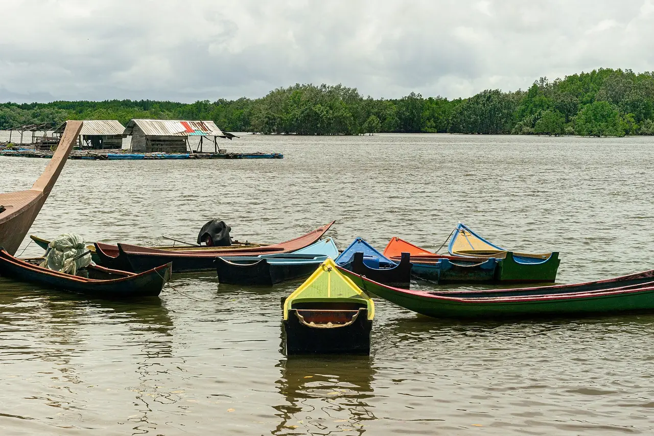 เรือไม้ลำเล็กจอดนิ่งริมแม่น้ำป่าชายเลนที่เงียบสงบในระนอง