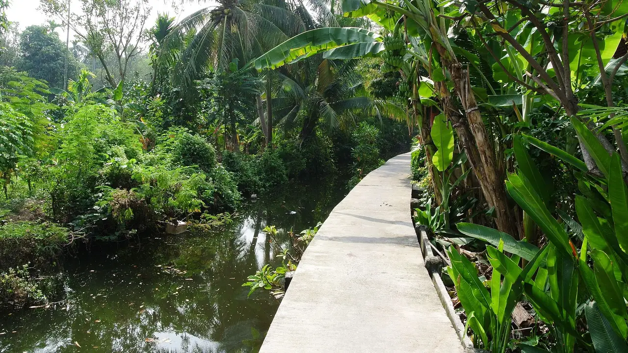 Concrete path through the greenery of Bang Kachao