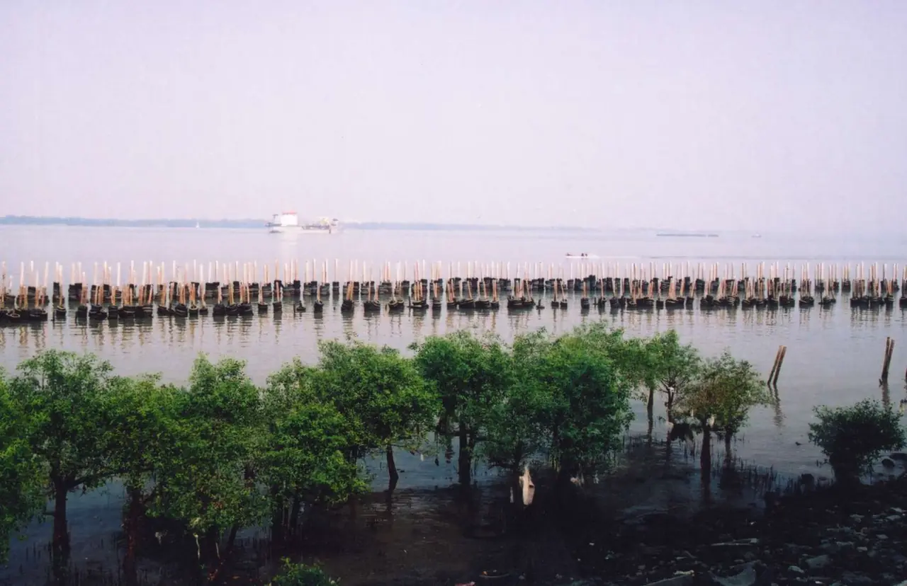 The mouth of the Chao Phraya River seen from the Chulalomklao fort