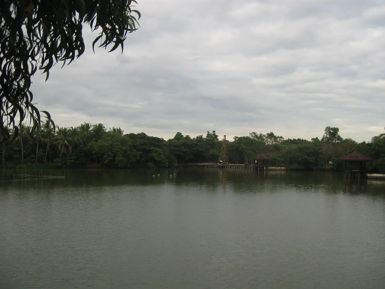 บึงในสวนศรีนครเขื่อนขันธ์ ภาพของ Ruslik0 จาก Wikimedia Commons ใบอนุญาต CC BY-SA 4.0 ถ่ายเมื่อ ธ.ค. 2557 Commons