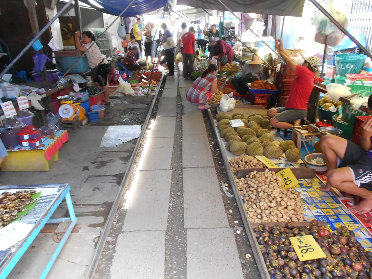 ภาพประกอบ สมุทรสาคร: ตลาดมหาชัย ท่าฉลอม เรือข้ามฟาก วัดโกรกกราก หลวงพ่อปู่แว่นดำ