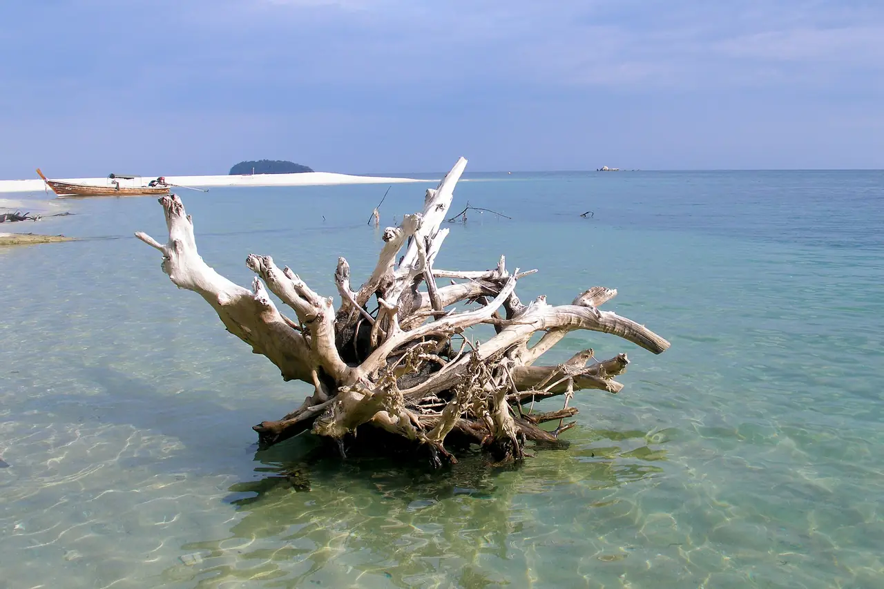 ชายฝั่งน้ำใสที่เกาะอาดัง มีเรือหางยาวและเกาะเล็กอยู่ไกลออกไป