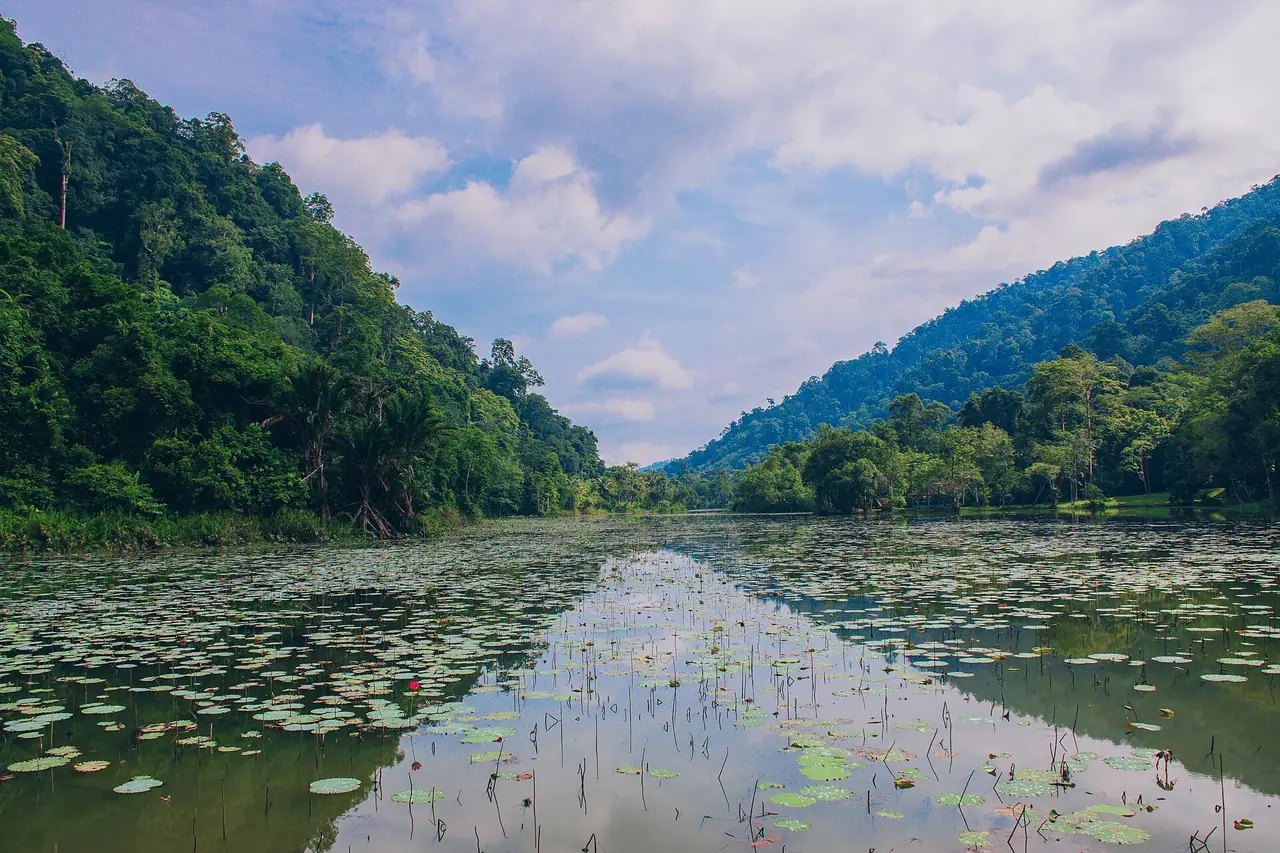 ทะเลบันกลางหุบเขา อุทยานแห่งชาติทะเลบัน สตูล ภาพของ Sarawut Hassama จาก Wikimedia Commons ใบอนุญาต CC BY-SA 4.0